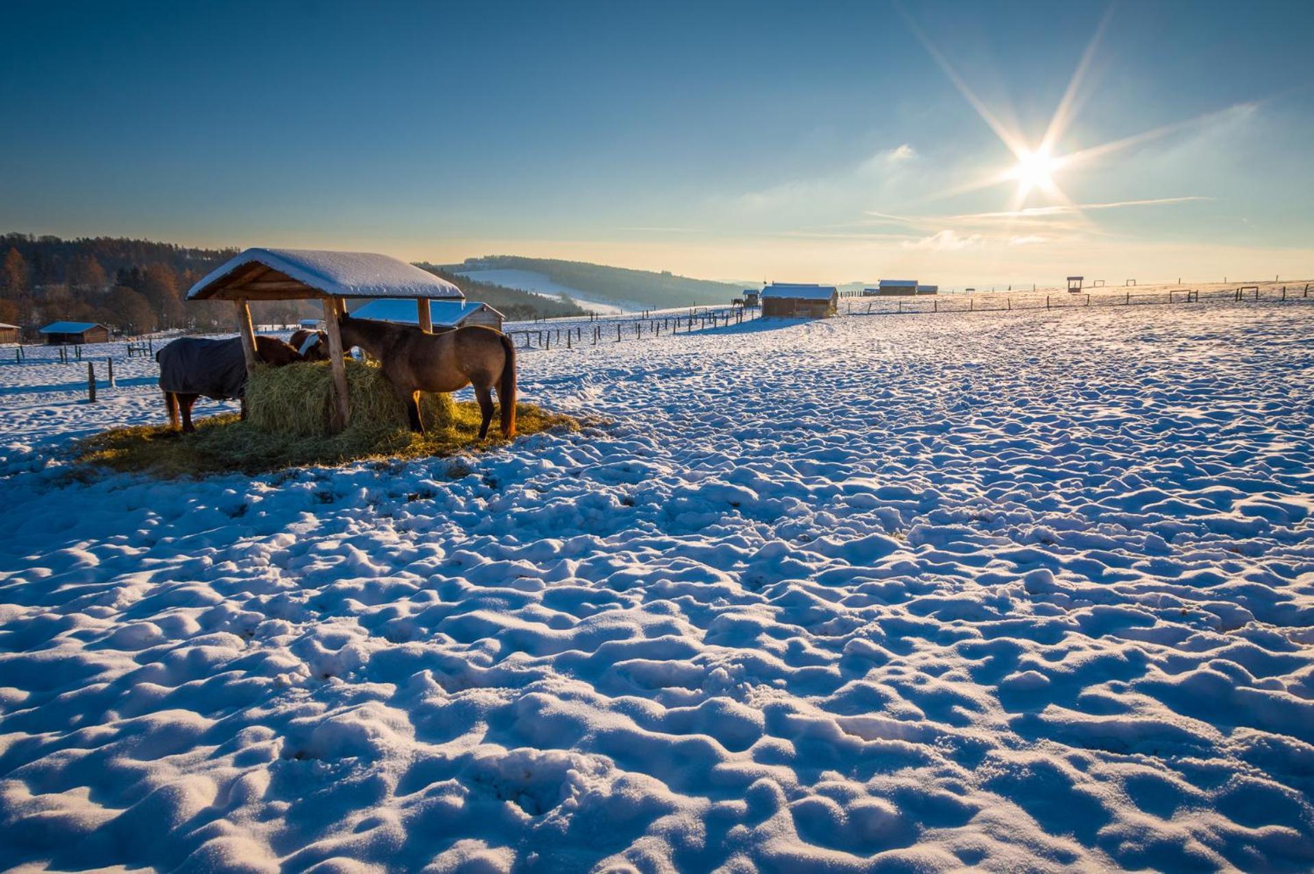 Ranch Jestrebice Otel Hermanicky Dış mekan fotoğraf